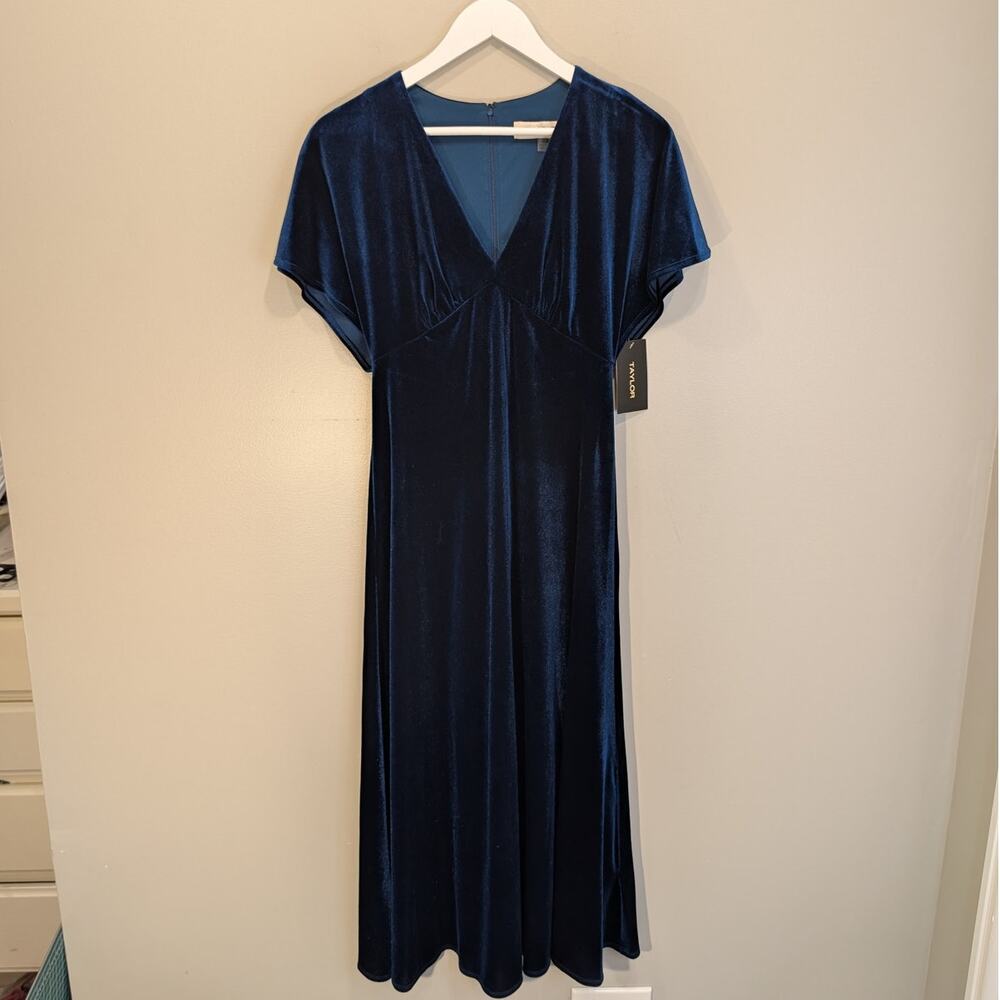 Taylor Velvet Midi Dress Whimsigoth CottageCore Romantic Holiday Chic - Size 4